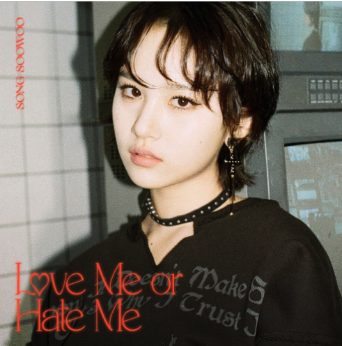 Love Me <br>or Hate Me <br>MIX