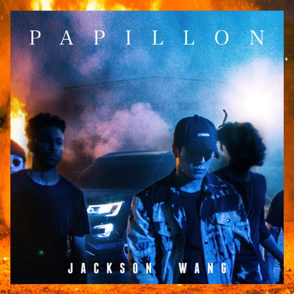 Papillon <br>MIX