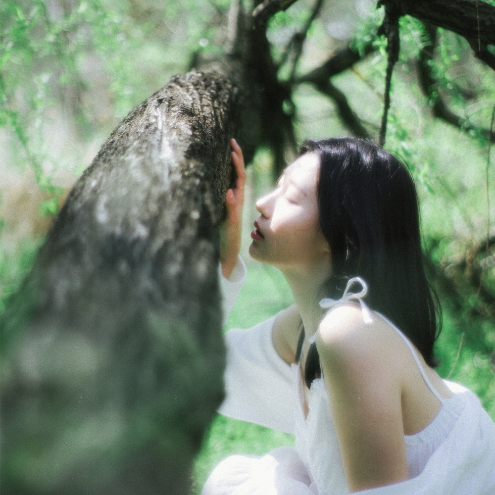 나무에 비밀을 묻어요 <br>MIX