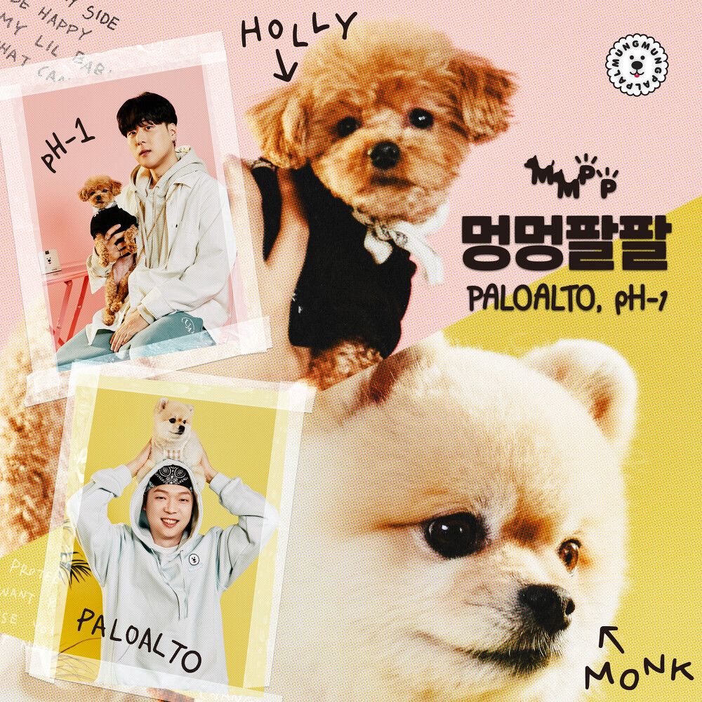 멍멍팔팔 <br> MIX